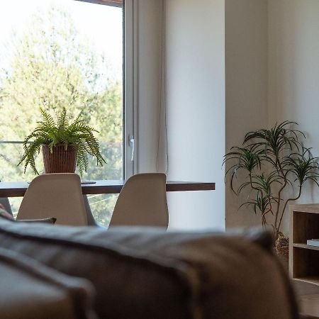 Alpes Da Montanha 501 - Apartamento Em 그라마도 외부 사진